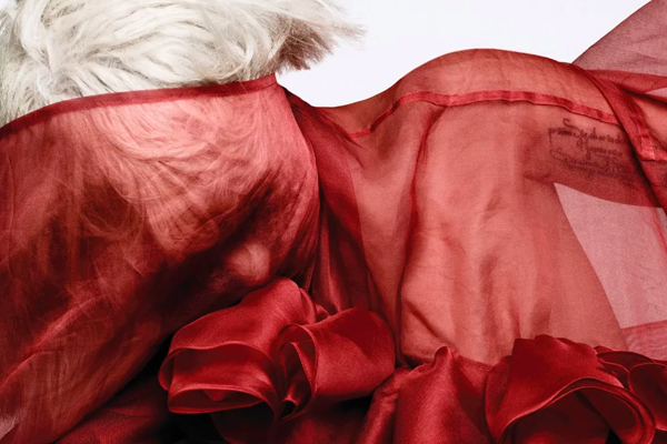 lady-gaga-bad-romance